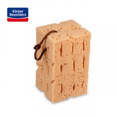 Car wash sponge coral sponge honeycomb