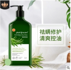 Toiletries, anti-mite and itching, Australian tea tree essential oil shampoo, refreshing oil control plant essence shampoo